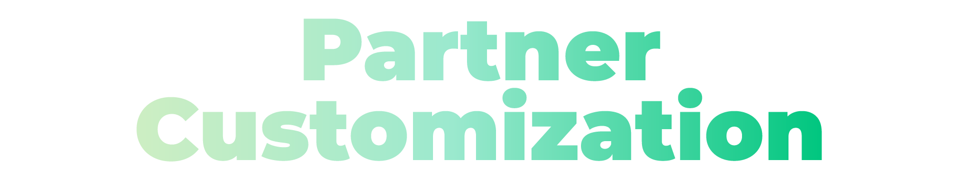2024_Annual_Report_Partner_Customization